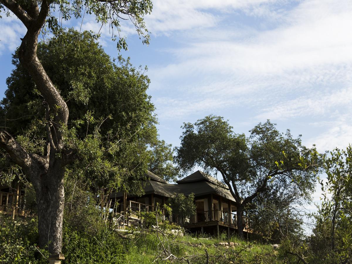 Simbavati Hilltop Lodge Заповедник Тимбавати Экстерьер фото